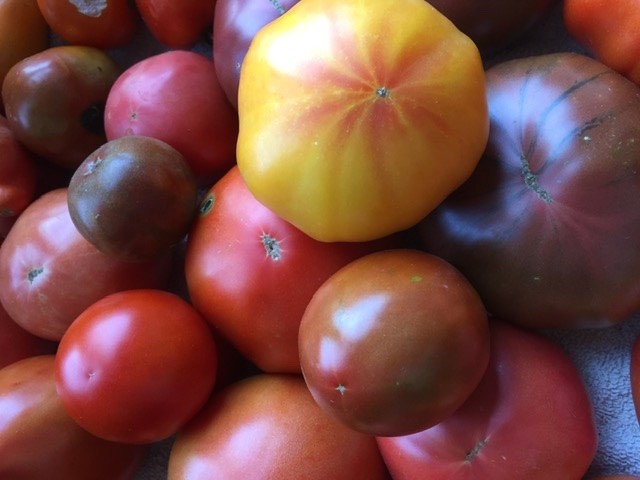 Image 2: Tomatoes